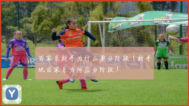 百家乐新手为什么要分阶段（新手玩百家乐为何应分阶段）