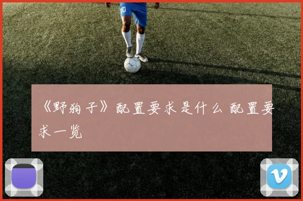 《野狗子》配置要求是什么 配置要求一览